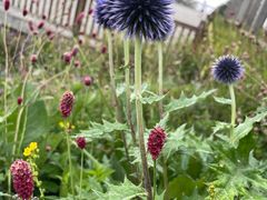 -白草畔自然风景区