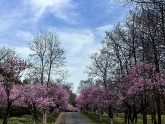 -上海海湾国家森林公园