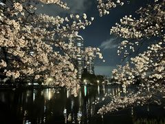 -成都市活水公园