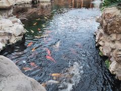 -龙达温泉生态城