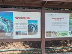 -银瓶嘴森林公园