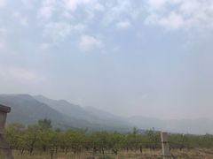 -阳台山自然风景区