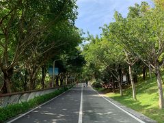 -飞凤山奥体公园