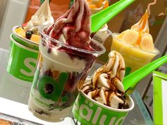 -Salud撒露欧洲冻酸奶(北苑上品店)