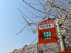 -东北大学(南湖校区)