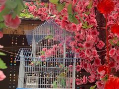 -丽江庭院之爱在路上(西单店)