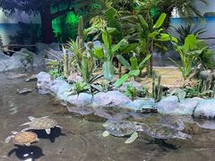 -北海海底世界