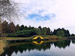 -渌洋湖湿地公园