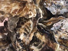 -宾朋海鲜特色美食餐厅·纯手工鲅鱼水饺(兴海路店)