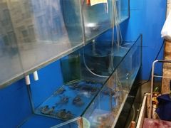 水产区-桦立酒家(宜山路店)