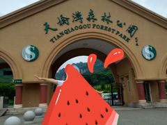 -丹东天桥沟景区