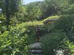 -幽岚山·童话森林