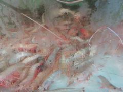 -胜海大排档·海鲜·黄鳝饭(十年老店)