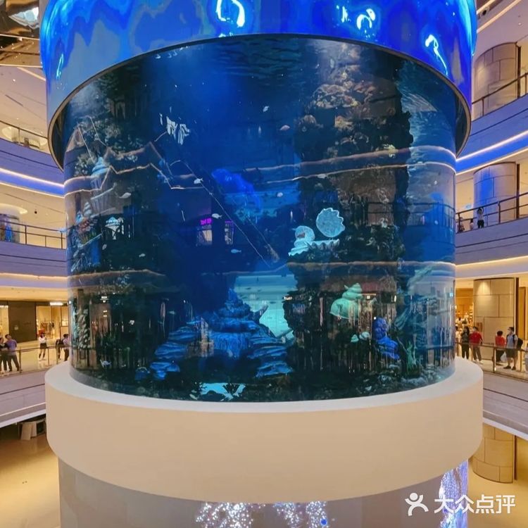 重庆观音桥|星光68广场溜娃or逛街