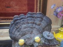 -三锅莊·牦牛肉火锅·香格里拉特色藏餐宴请餐厅(菱角塘路店)