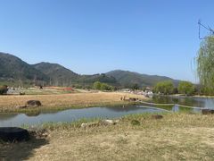 -径山花海