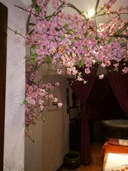 -琦品高端美容SPA私佳美场