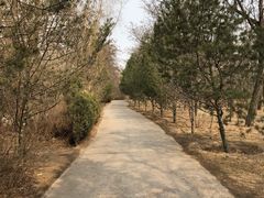 -森林公园(尖草坪区)