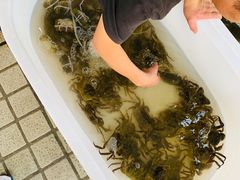 -江杨农产品批发市场