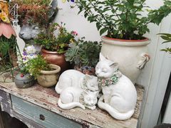 -荒度咖啡(北九水店)