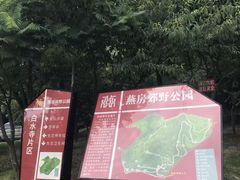 -白水寺森林公园