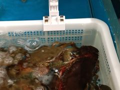 -盒马鲜生(岭南新世界店)