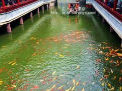 景点-龙潭水乡