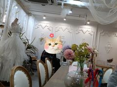 -共舞时光猫咖·狗咖(新街口店)