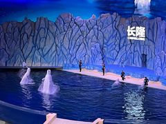 -珠海长隆海洋王国