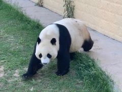 -辛玛王国游乐园