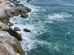 -广东惠东海龟国家级自然保护区