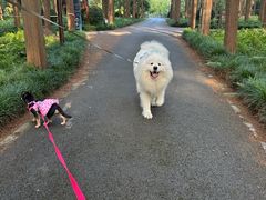 -上海怡沁园度假酒店