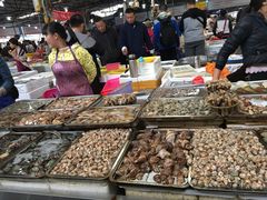 -板桥海鲜广场(文明东店)