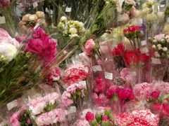 -AEON永旺(东方宝泰店)