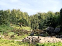 -洛阳市隋唐城遗址植物园