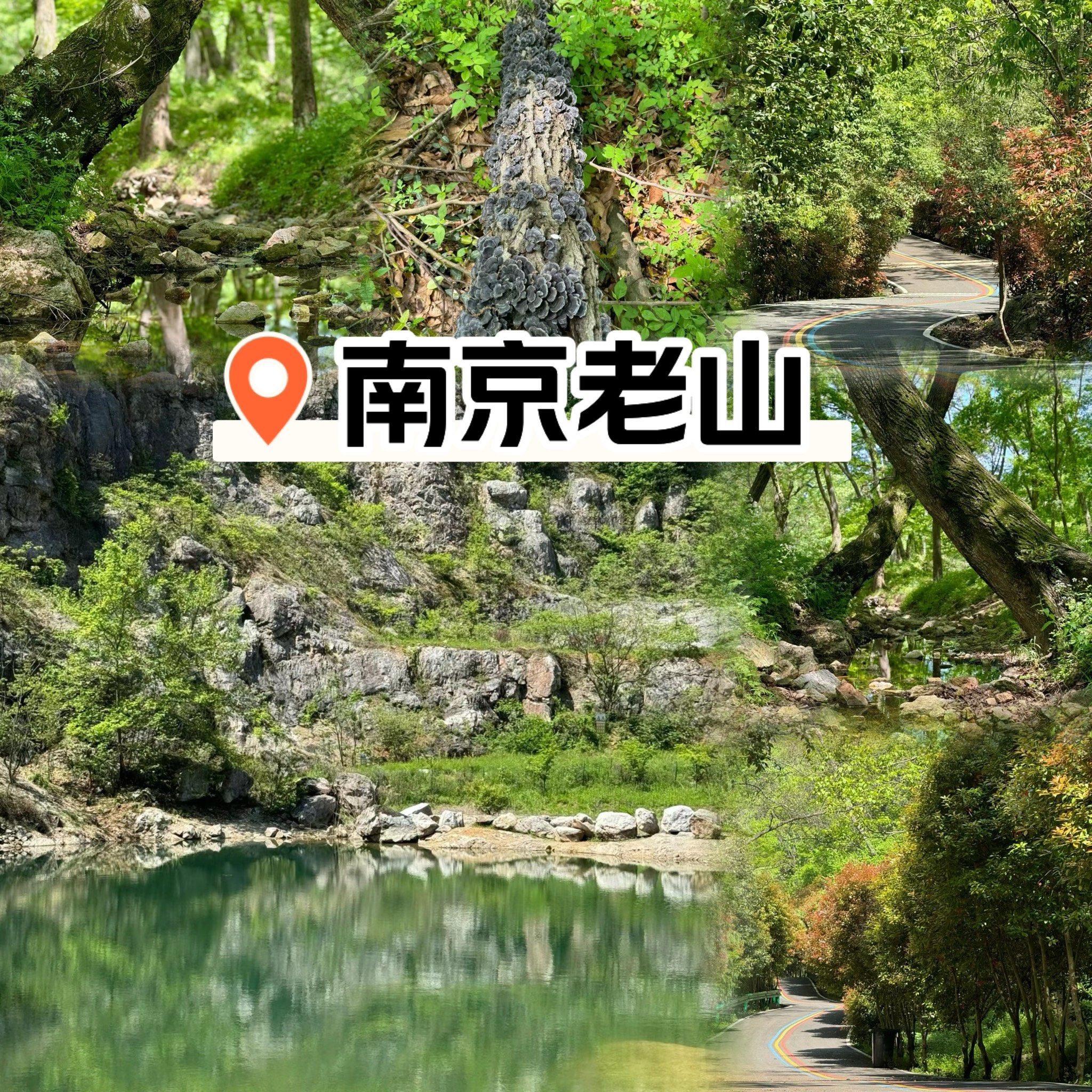 南京老山国家森林公园