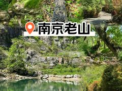 -老山国家森林公园