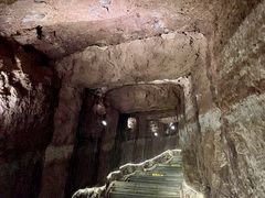 -中国西峡恐龙遗迹园