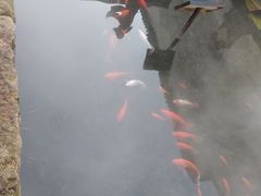 -黎阳老街