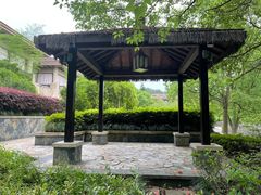 -良渚君澜度假酒店·中餐厅