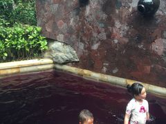 -天目湖涵田半山温泉