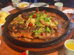 -老板恋上鱼(环山路店)