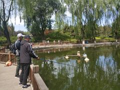 -丰台花园