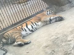 -南昌动物园