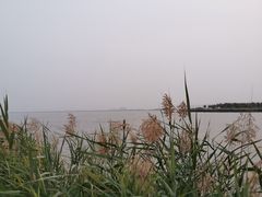 -天津东丽湖风景区