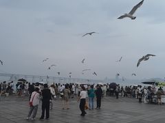 -星海广场