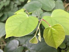 -西安市长乐公园