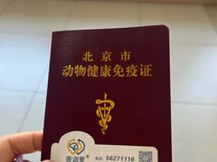 -美迦爱-牙专科·兔科·骨科诊疗中心(北苑店)