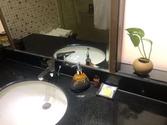 -九华山聚龙大酒店
