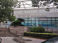 -宝钢体育中心-游泳馆